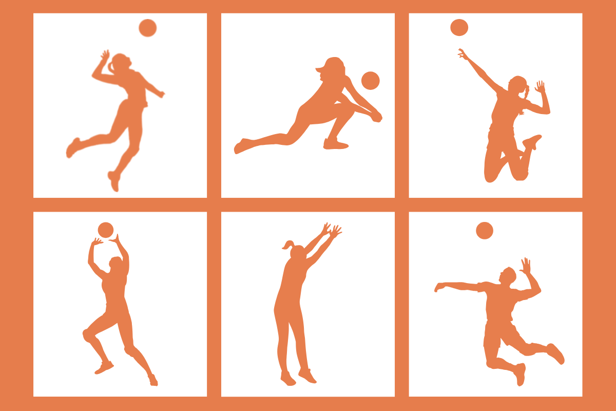 Different Volleyball Player Positions and Their Role